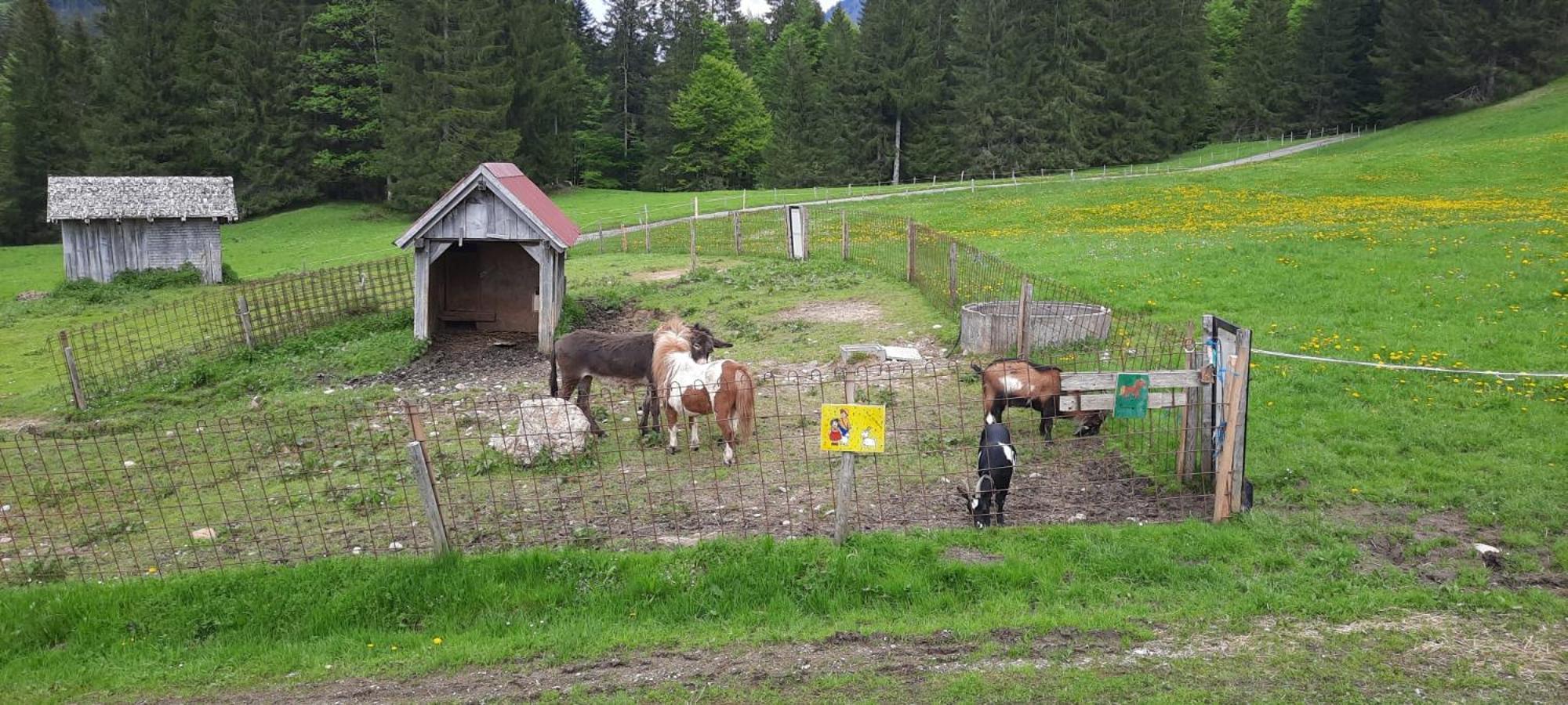 Jausenstation Neuschwand Villa ฮิตทีเซา ภายนอก รูปภาพ