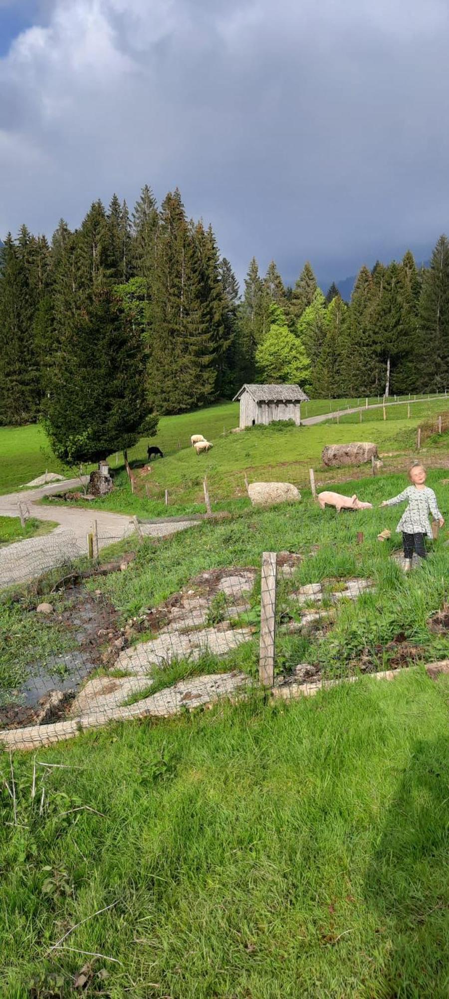 Jausenstation Neuschwand Villa ฮิตทีเซา ภายนอก รูปภาพ