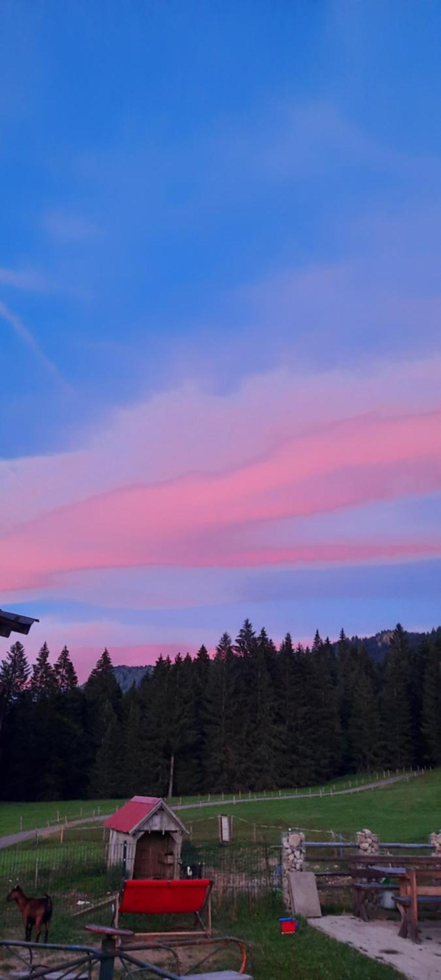 Jausenstation Neuschwand Villa ฮิตทีเซา ภายนอก รูปภาพ
