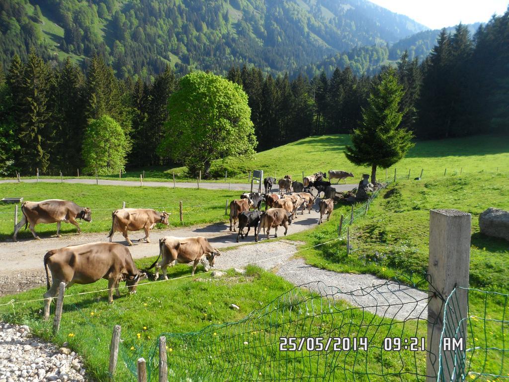 Jausenstation Neuschwand Villa ฮิตทีเซา ภายนอก รูปภาพ