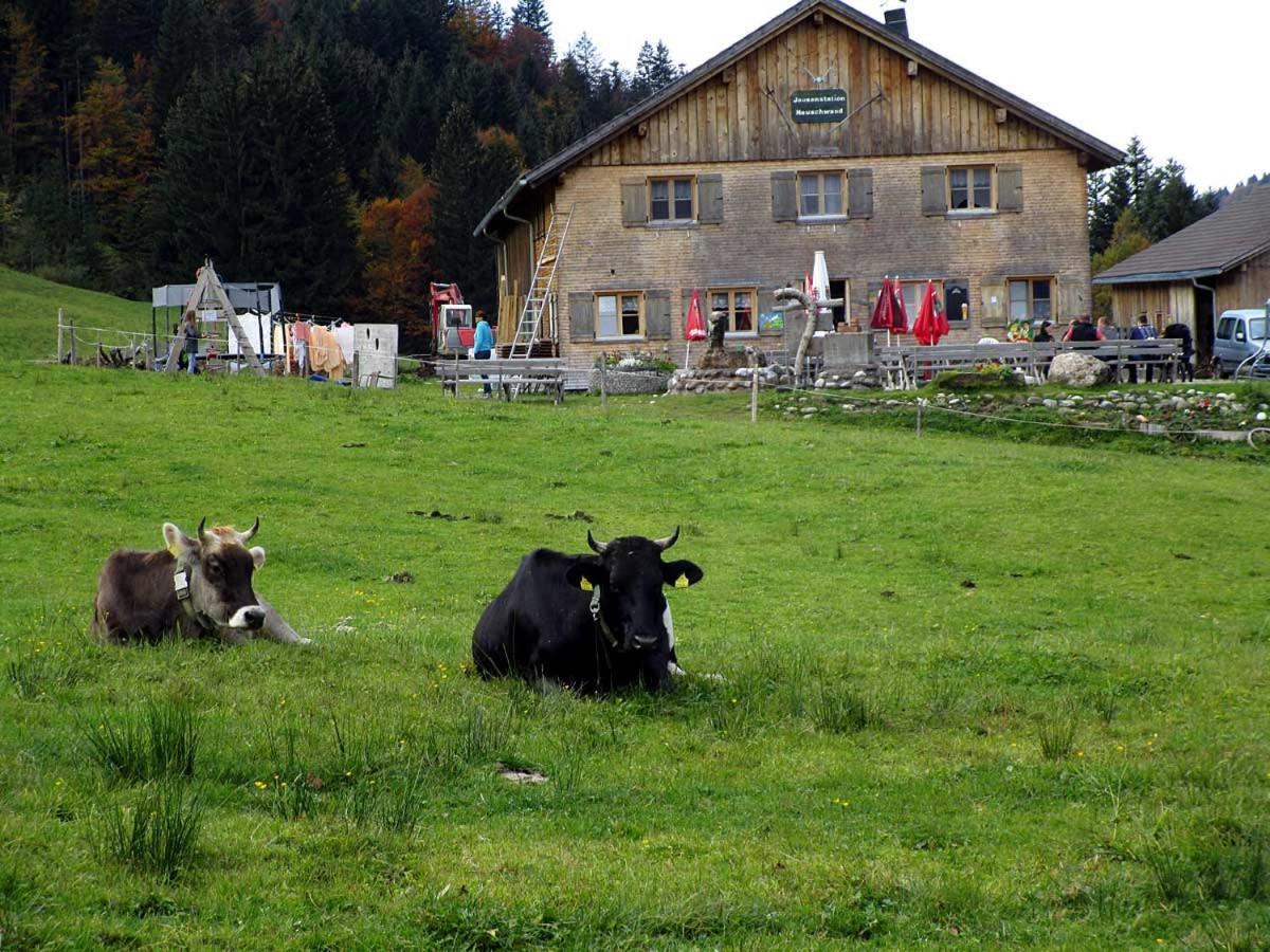 Jausenstation Neuschwand Villa ฮิตทีเซา ภายนอก รูปภาพ