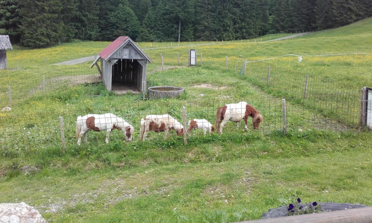 Jausenstation Neuschwand Villa ฮิตทีเซา ภายนอก รูปภาพ